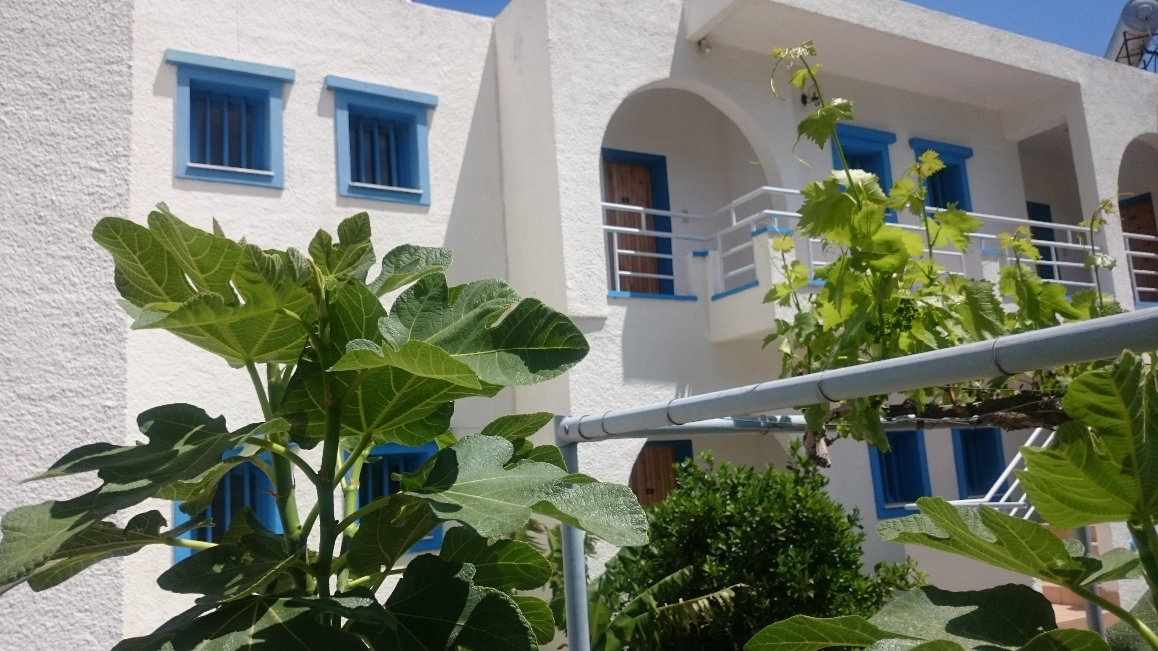 Amazones Villas Apartments Hersonissos  Zewnętrze zdjęcie